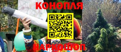 ешки Новодвинск