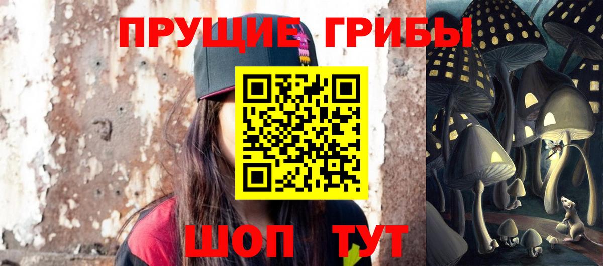 Галлюциногенные грибы ЛСД  цена   Вход с VPN  Ногинск  Псилоцибиновые грибы ЛСД 