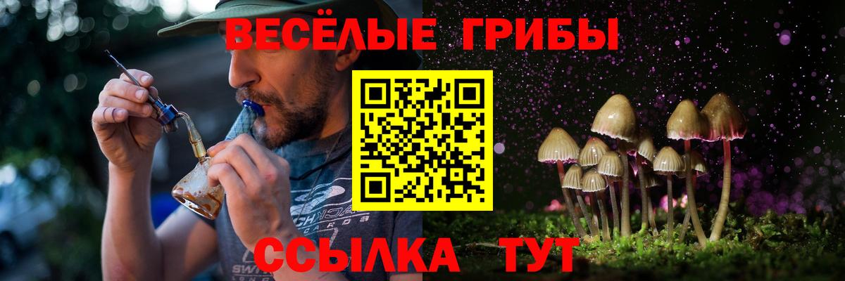 Галлюциногенные грибы Cubensis Ногинск
